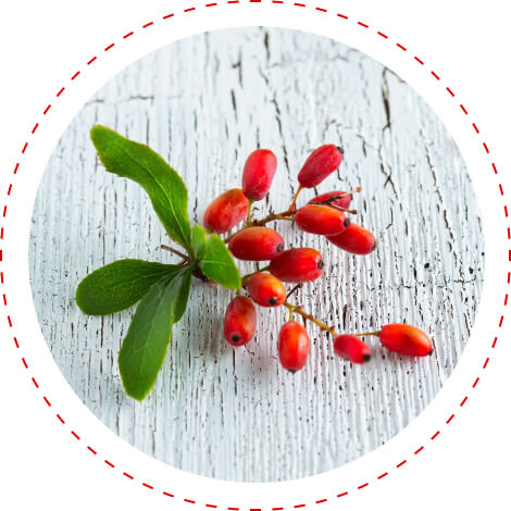 berberine glycemic control