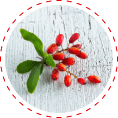 blood sugar support